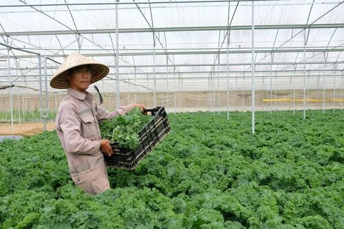 'Chìa khóa' giải những bài toán thực tiễn tại Lâm Đồng