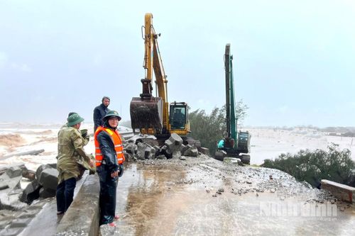 UBND tỉnh yêu cầu khẩn trương xử lý, khắc phục các sự cố sụt, sạt trên tuyến đê biển Hải Hậu