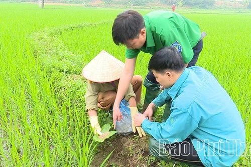 Phòng trừ sâu bệnh hại cây trồng vụ xuân