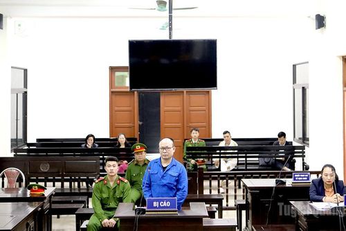 7 năm 9 tháng tù về các tội danh Lừa đảo chiếm đoạt tài sản và Trốn thuế