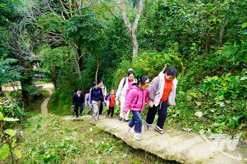 Những người 'gieo' tri thức giữa núi rừng