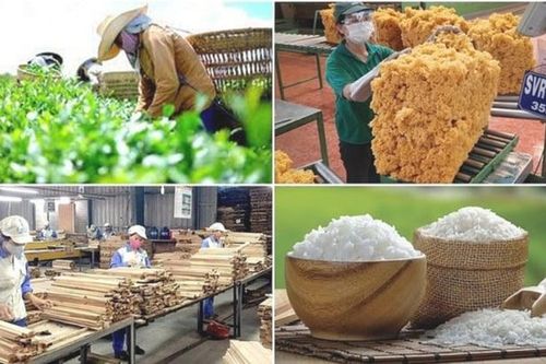 Xung đột Trung Đông kéo dài, nông nghiệp Việt Nam có thể thiệt hại tới 8 tỷ USD
