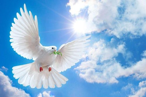 Sức mạnh hòa bình trong 'Khúc hòa ca thế kỷ' của Phạm Hồng Điệp