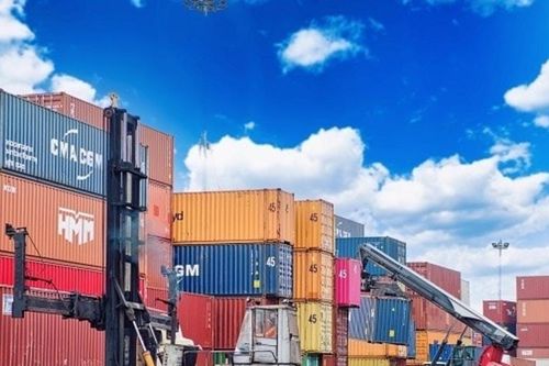Lợi nhuận giảm 96%, TCO Holdings muốn đổi tên, 'thay máu' toàn bộ HĐQT, chuyển hướng kinh doanh