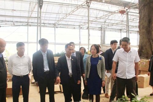 HTX chuẩn hóa quản trị để hút vốn đầu tư
