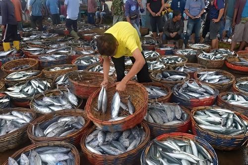 Indonesia siết chặt kiểm soát đối với các sản phẩm cá nhập khẩu