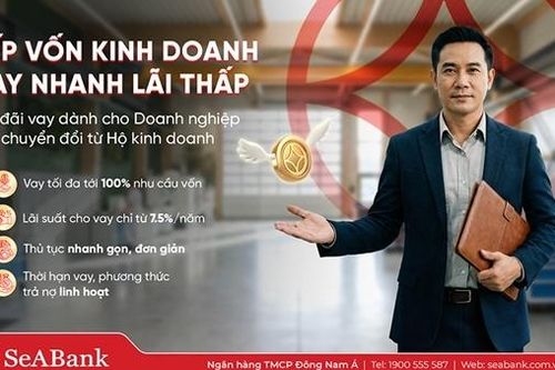 Nghịch lý 'lính mới': Kinh doanh nhiều năm vẫn khó vay vốn sau khi chuyển đổi doanh nghiệp