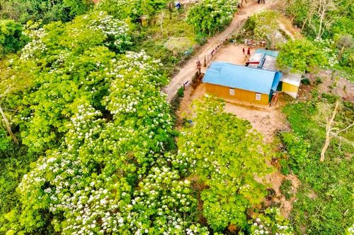 Đưa nông sản Quảng Trị vươn ra thế giới