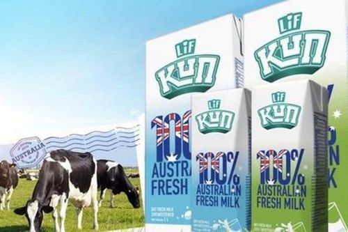 Sữa Quốc tế Lof (IDP) đặt mục tiêu lãi sau thuế năm 2026 tăng gần 300%