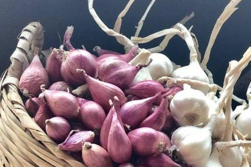 Hành tỏi mua về đừng vội cho vào tủ lạnh: Chỉ cần vài mẹo đơn giản, tránh mọc mầm và hư hỏng, nhà nào cũng làm được