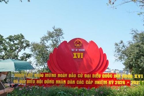 Phường Hoàn Kiếm rực rỡ cờ hoa chào đón ngày bầu cử