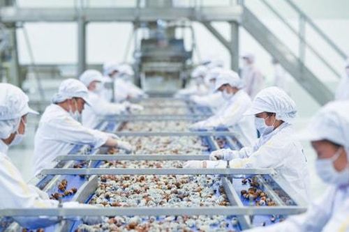 Xuất khẩu nông sản ảnh hưởng thế nào trước xung đột Trung Đông