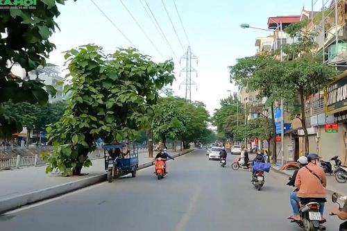 Tháng 3/2026, bất ngờ trước giá cho thuê nhà riêng tại 3 phường Hai Bà Trưng, Bạch Mai và Vĩnh Tuy (Hà Nội)