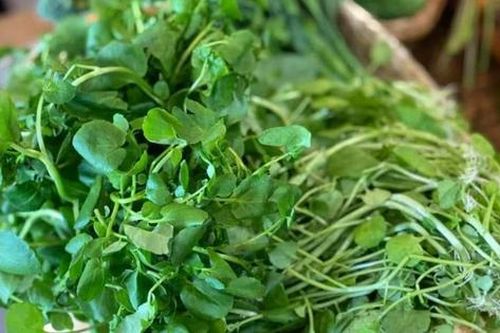 Loại rau từng bị coi như cỏ dại nhưng lại tốt cho gan