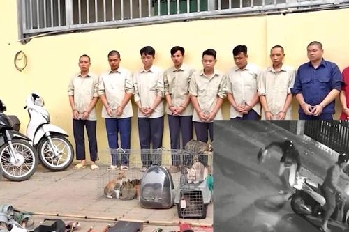 Đối tượng cuối cùng trong nhóm trộm mèo ở Hóc Môn ra đầu thú
