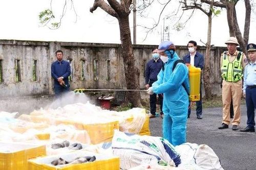Phát hiện, tiêu hủy hơn 2,6 tấn nội tạng động vật không rõ nguồn gốc lưu thông trên cao tốc Bắc- Nam