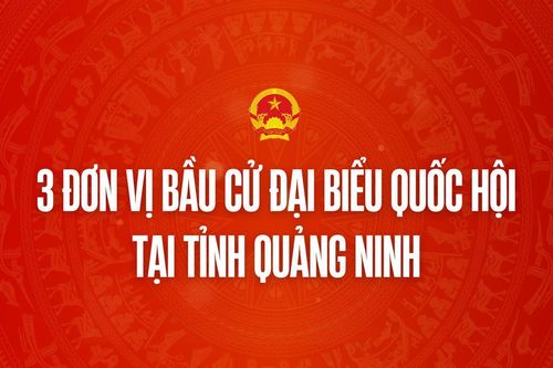 Infographic: 3 đơn vị bầu cử đại biểu Quốc hội tại tỉnh Quảng Ninh