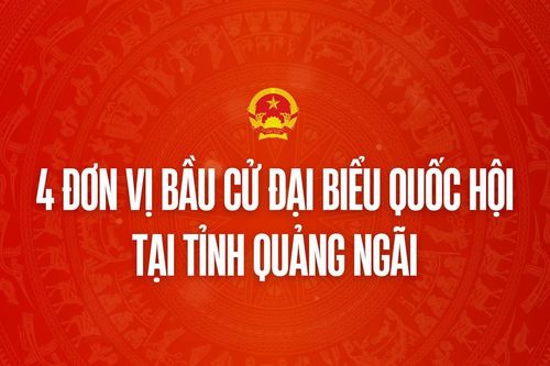 Infographic: 4 đơn vị bầu cử đại biểu Quốc hội tại tỉnh Quảng Ngãi