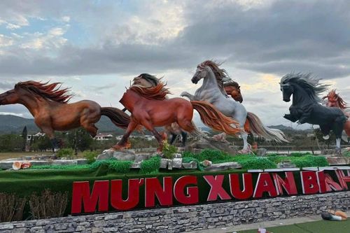 Công an xác minh dàn linh vật ngựa ở Quảng Trị bị chặt chân, mất đầu