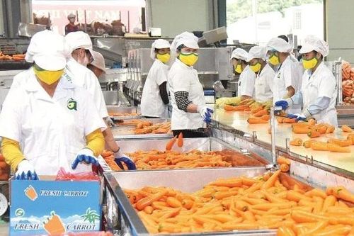 Gia tăng nhận diện thương hiệu nông sản Việt Nam
