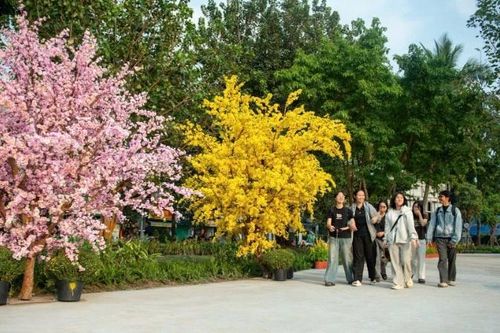 Tránh tình trạng các khu đất 'vàng' sau chỉnh trang bị bỏ trống, xuống cấp