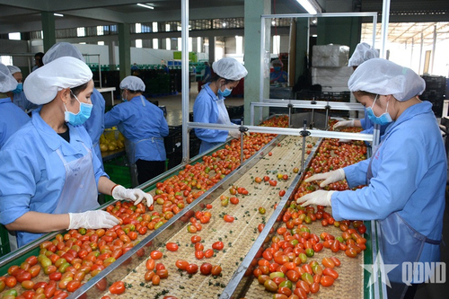 Lâm Đồng đột phá thực hiện tăng trưởng hai con số