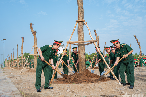 Thúc đẩy phong trào trồng cây phát triển mạnh mẽ, toàn diện