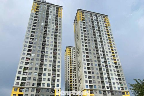 Nhà thương mại giá phù hợp khống chế lợi nhuận tối đa 15%