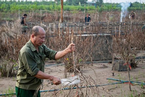 Sửa chính sách bảo hiểm nông nghiệp: Nông dân được hỗ trợ nhiều hơn