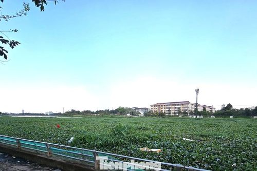 Chủ tịch phường chỉ đạo làm sạch hồ ô nhiễm ở Cần Thơ sau phản ánh của báo Tiền Phong