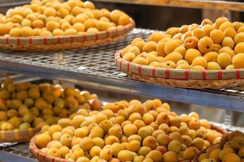 Sau cuộc nhậu, nhiều người uống nước mơ giảm nôn nao