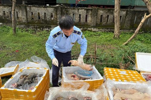 Phát hiện hơn 2,6 tấn nội tạng động vật không rõ nguồn gốc