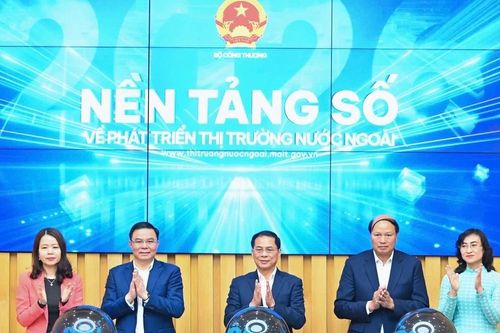 Vận hành Nền tảng số về phát triển thị trường nước ngoài