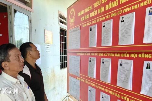Già làng, người có uy tín làm cầu nối trong tuyên truyền bầu cử