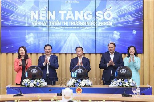 Khai trương nền tảng số về phát triển thị trường nước ngoài
