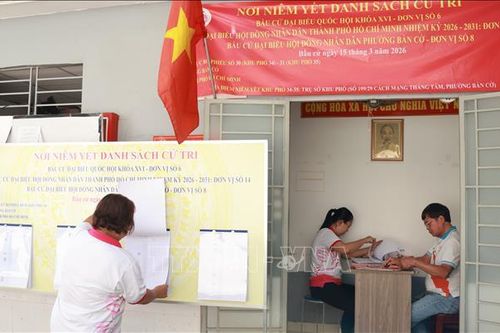 Những 'hạt nhân' thầm lặng trong ngày hội non sông
