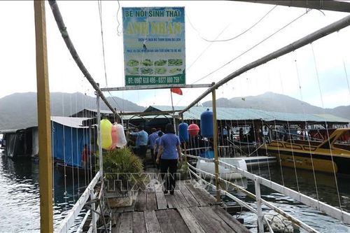 Di dời bè nổi ra khỏi khu vực Di tích quốc gia đặc biệt Tàu không số Vũng Rô