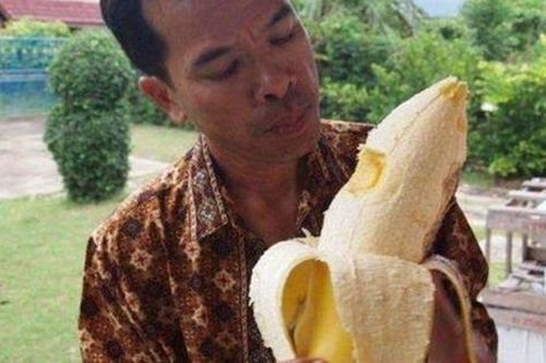 Giống chuối 'khổng lồ' kỳ lạ nhất thế giới, cây cao gần bằng tòa nhà 8 tầng, ăn một quả no cả ngày