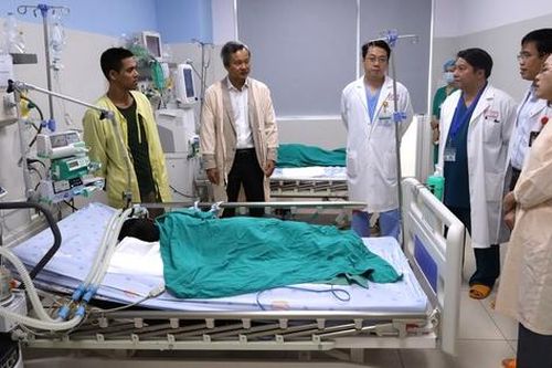 Cuộc chạy đua đưa 'thần dược' giải độc 8.000 USD cứu bệnh nhi ngộ độc cá ủ chua