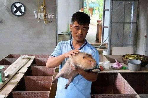 Mở lối làm giàu ở nông thôn