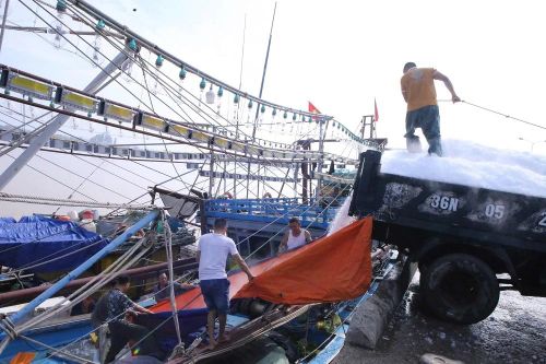 Ngư dân linh hoạt thích ứng trước 'bão giá' của xăng dầu
