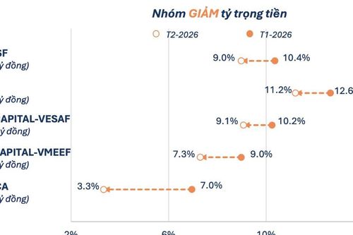 Các quỹ cổ phiếu quy mô lớn đẩy mạnh giải ngân, cổ phiếu nào được săn đón nhiều nhất?