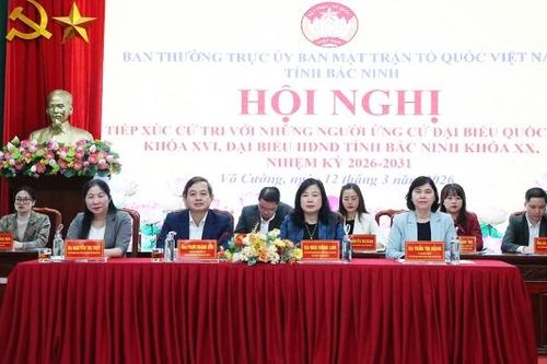 Ứng cử viên đại biểu Quốc hội khóa XVI và đại biểu HĐND tỉnh tiếp xúc cử tri tại đơn vị bầu cử số 4 và số 11