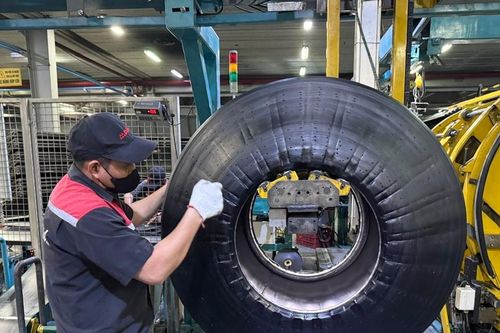 Hiệu quả từ việc mở rộng quy mô và năng lực sản xuất