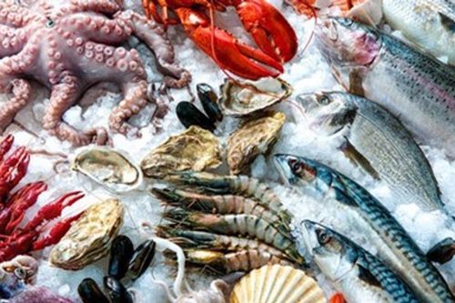 Xuất khẩu thủy sản Na Uy giảm tháng thứ 2 liên tiếp, thị trường Mỹ sụt giảm 36%