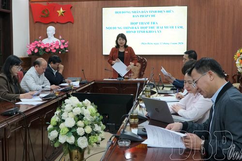 Ban Pháp chế HĐND tỉnh thẩm tra báo cáo, dự thảo nghị quyết