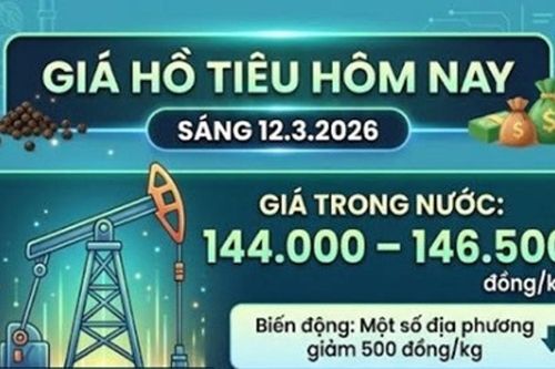 Giá tiêu hôm nay 12/3: Nguồn cung mới bổ sung, giá nội địa dao động 144.000-146.500 đồng/kg