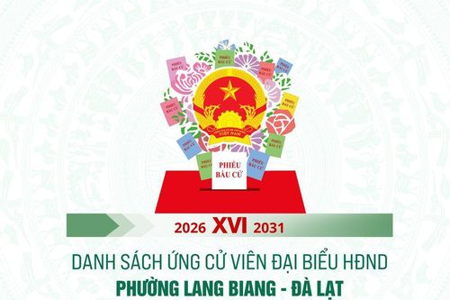 Danh sách những người ứng cử đại biểu HĐND phường Lang Biang – Đà Lạt nhiệm kỳ 2026-2031