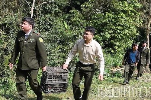 Thả động vật nguy cấp, quý, hiếm về tự nhiên