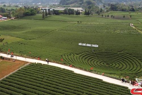 Nông nghiệp xanh gắn với du lịch dưới chân đèo Pha Đin